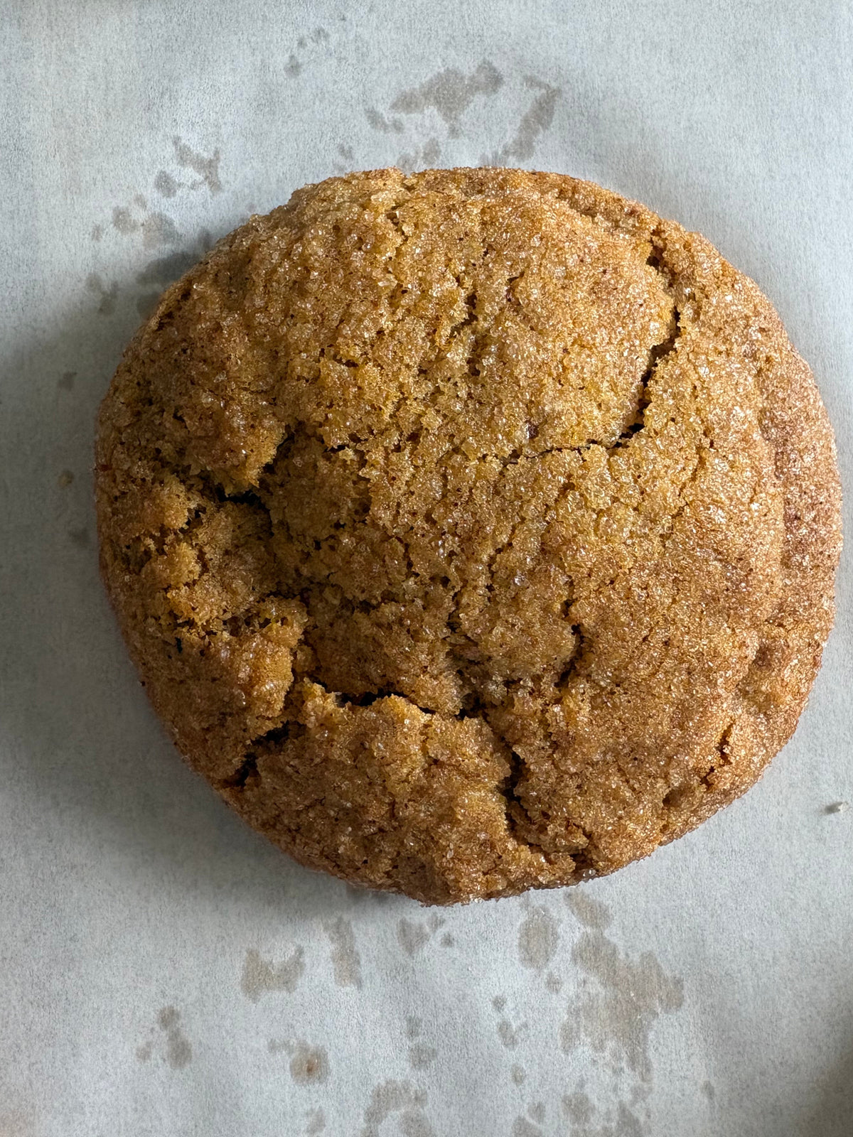 Pumpkin spice Creamcheese 
